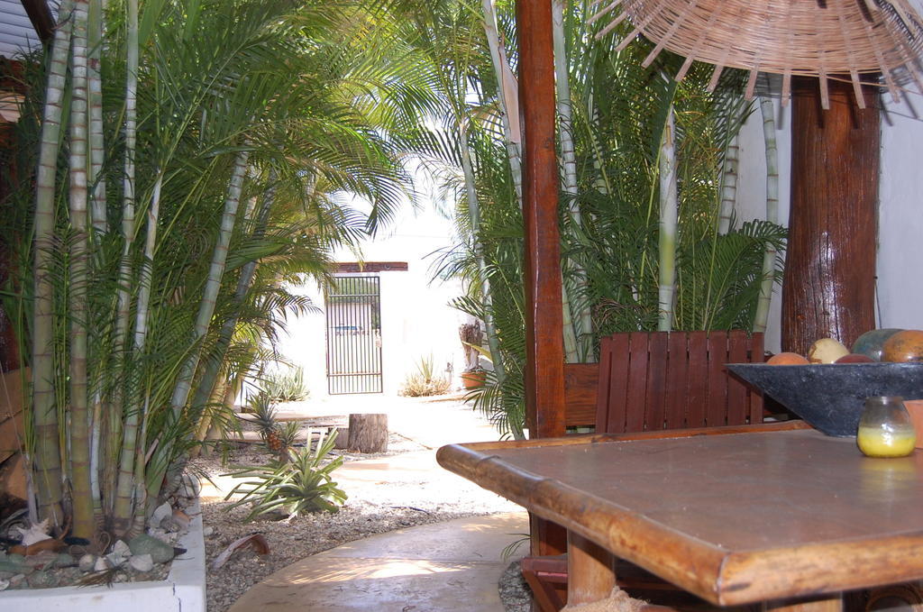 Bonaire Fun Apartments Exterior photo